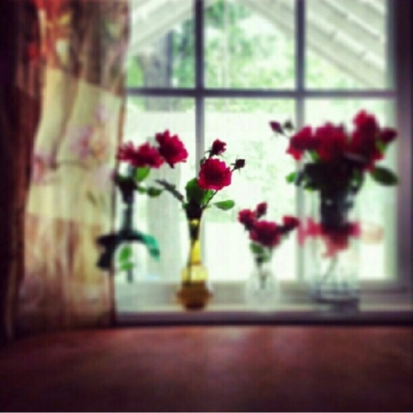 About Amber Nicole - Picture 3 of 11